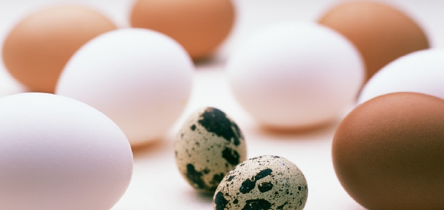 Яйца при панкреатите