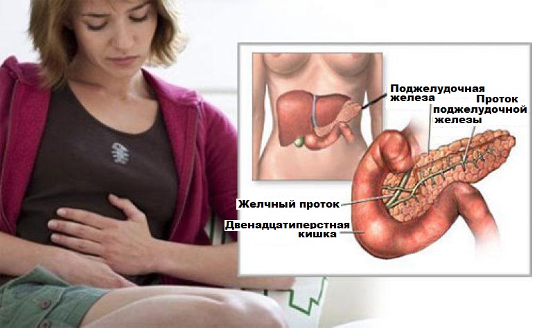 Где расположена поджелудочная железа у женщины фото показ признаки болезни